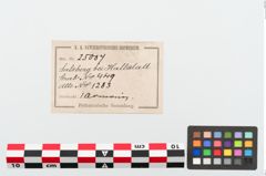 Etiketten zu Bronzeperlarmreif (NHMW-PRAE-025007)